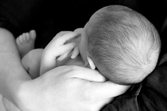 Arzobispo de Sidney celebra rechazo de proyectos de ley pro aborto