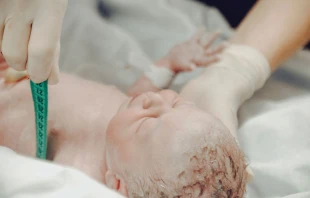 Imagen referencial / Cru00e9dito: Pexels 