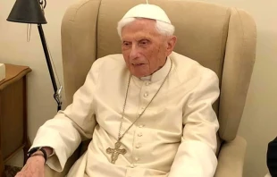 Benedicto XVI. Cru00e9dito: Fundaciu00f3n Vaticana Joseph Ratzinger - Benedicto XVI 