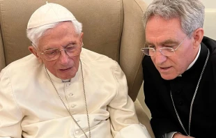 El Papa Emu00e9rito Benedicto XVI y su secretario, Mons. Georg Gu00e4nswein. Cru00e9dito: Die Tagespost Stiftung 