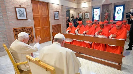 El Papa Francisco y los 13 nuevos Cardenales visitan a Benedicto XVI