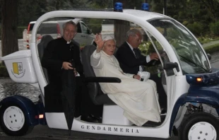 El Papa emu00e9rito Benedicto XVI recorre los jardines vaticanos en junio de 2015. Foto: Diu00f3cesis de Faenza y Modigliana 