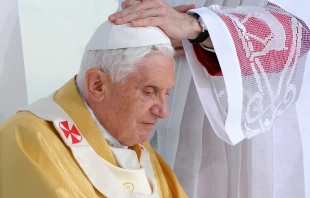 Papa Benedicto XVI (2010). Cru00e9dito: Catholic Church England and Wales - u00a9 Mazur (CC BY-NC-ND 2.0) 