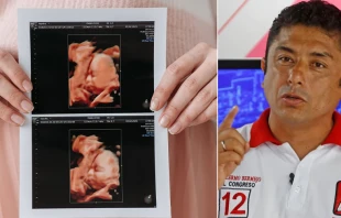 Congresista Guillermo Bermejo/ Cru00e9dito: ANDINA/Renato Pajuelo y Pexels 