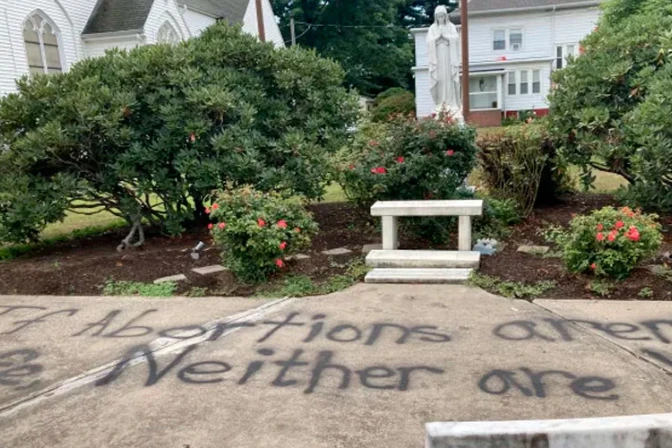 Destrozar un centro de embarazo provida “por dar pañales” es demasiado, expresa directora