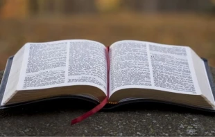 Imagen referencial. Cru00e9dito: Aaron Burden / Unsplash. 