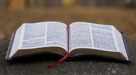 Obispos proponen 12 formas de entronizar la Biblia en casa