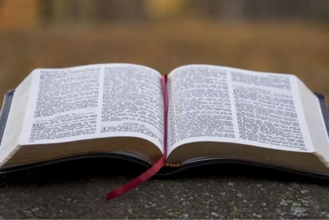 Obispos proponen 12 formas de entronizar la Biblia en casa