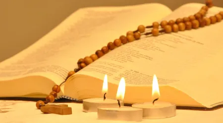 Arzobispo anima a conocer tesoros de la Biblia para dejarse iluminar por ella