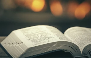 Foto referencial. Cru00e9dito: Unsplash 