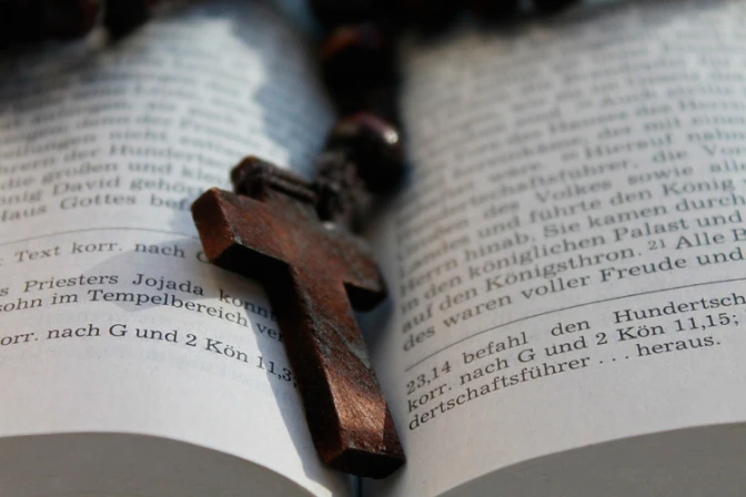 La Palabra de Dios debe estar en el corazón de toda actividad eclesial, recuerda Obispo