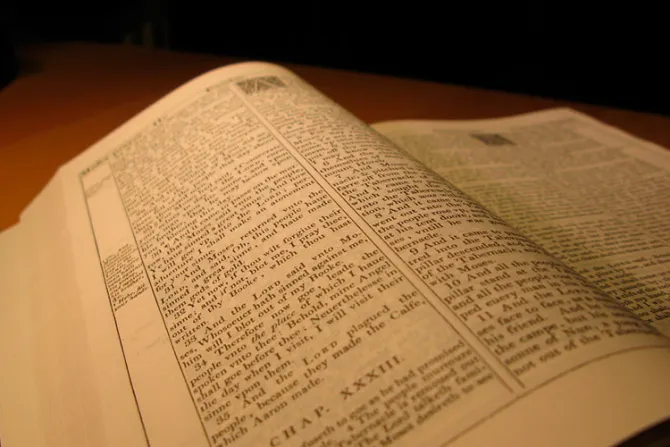 Iglesia alienta a leer traducciones de la Biblia fieles a textos primitivos, afirma Nuncio