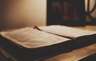 Imagen referencial / Cru00e9dito: Pixabay (Dominio Pu00fablico) 