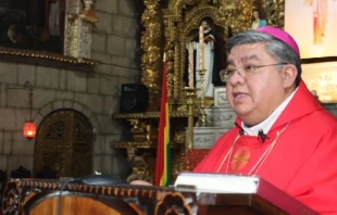 Mons. Giovani Arana, Obispo de El Alto. Cru00e9dito: CEB 