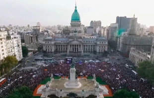 Marcha por la Vida 2018 en Argentina  / Cru00e9dito: Caravel 