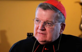 Cardenal Raymond Leo Burke / Cru00e9dito: ACI Prensa 