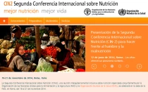 Captura de pantalla sitio web fao.org