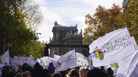 Miles se manifestaron en España por la defensa de la vida