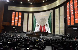 Cu00e1mara de Diputados del Congreso de la Uniu00f3n. Cru00e9dito: Cu00e1mara de Diputados. 