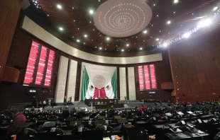 Cu00e1mara de Diputados del Congreso de la Uniu00f3n. Cru00e9dito: Cu00e1mara de Diputados. 