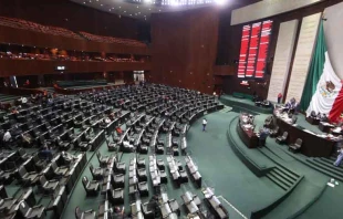 Cu00e1mara de diputados del Congreso de Mu00e9xico. Cru00e9dito: Cu00e1mara de diputados. 