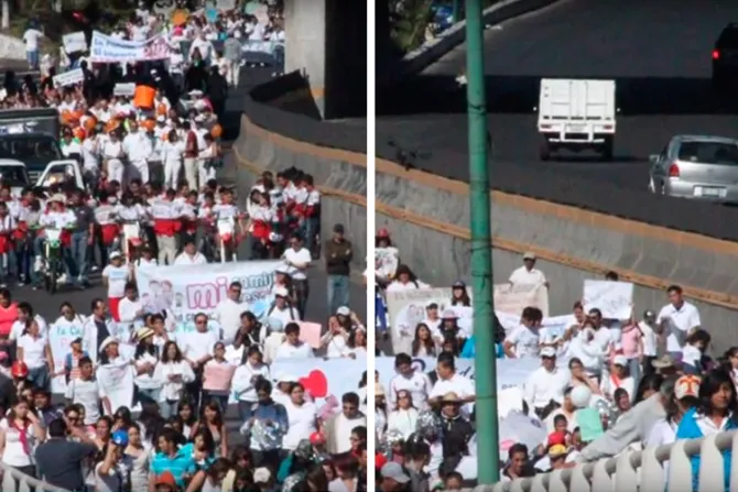 VIDEO: Multitud camina por la paz y la familia en Cuernavaca