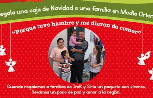 Campau00f1a  de Navidad / AISChile  