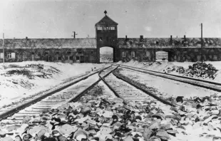 Campo de concentración de Auschwitz / Foto: Wikipedia - Fotógrafo Stanislaw Mucha (CC-BY-SA-3.0-DE) 