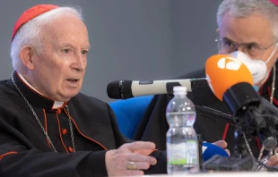 Cardenal Antonio Cau00f1izares (izquierda) en la rueda de prensa de hoy en Roma. Cru00e9dito: Daniel Ibu00e1u00f1ez / ACI Prensa 