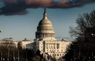 Capitolio de Washington D.C., sede de las dos cámaras del Congreso de Estados Unidos. Crédito: ElevenPhotographs / Unsplash. 