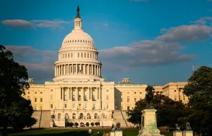 Capitolio de Estados Unidos, sede del Congreso. Foto: Flickr Photos By Clark (CC-BY-NC-2.0) 