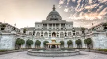 Edificio del Capitolio en Washington D.C. / Crédito: Flickr de IPBrian (CC-BY-NC-SA-2.0) 