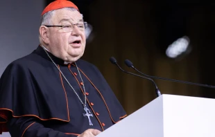 Él Cardenal Duka durante su catequesis. Foto: Daniel Ibáñez / ACI Prensa null