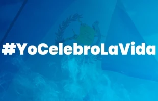 Anuncio de Gran Caravana por la Vida. Cru00e9dito: Asociaciu00f3n La Familia Importa. 