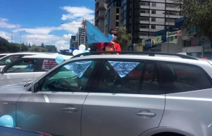 Caravana vehicular por el veto. Cru00e9ditos: Diana Bravo 