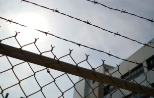 Imagen referencial. Cru00e9dito: Pixabay 