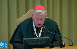 El Cardenal Hollerich en el Aula Nueva del Sínodo. Foto: Vatican Media / Captura de Youtube 