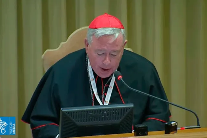 Cardenal pide no convertir el Sínodo de los Obispos “en un debate político”