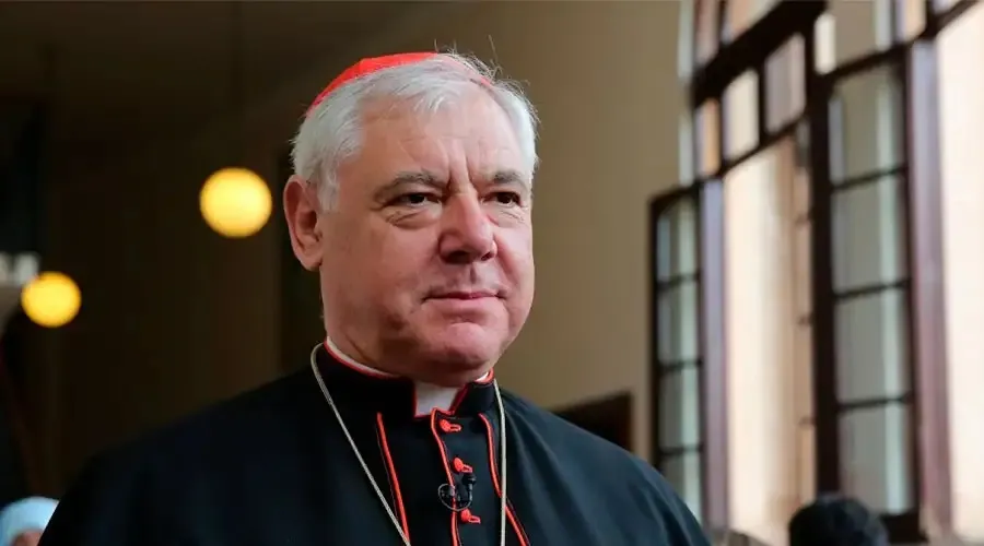 El Cardenal Gerhard Müller. Foto: ACI Prensa