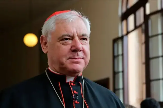 Cardenal Müller critica trato diferente del Papa a Misa en latín y a camino sinodal alemán