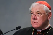 Cardenal Müller objeta polémico documento de trabajo del Sínodo de la Amazonía