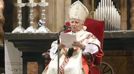 Cardenal pide usar “la fuerza de la oración” ante la “paz amenazada” en el mundo