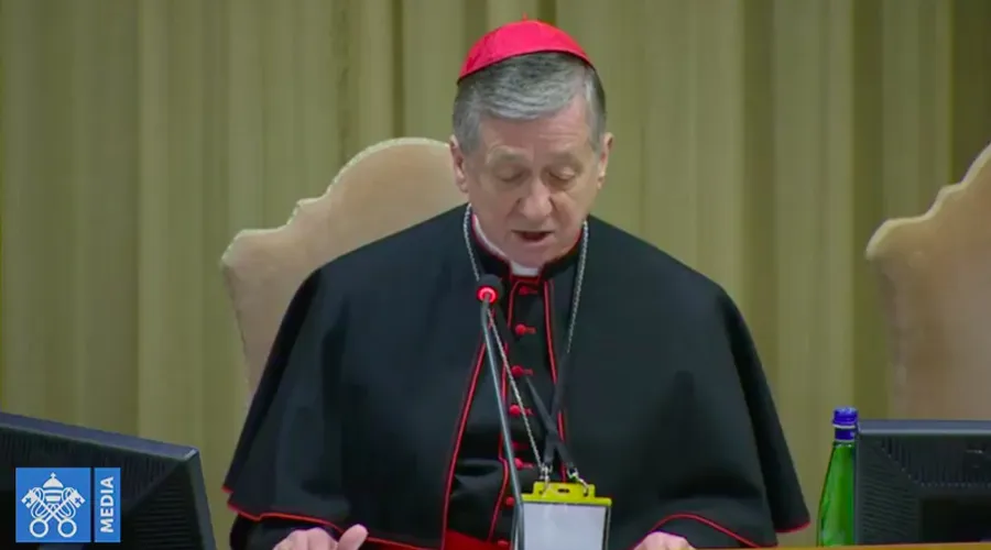 El Cardenal Blase Cupich en el encuentro sobre abusos en el Vaticano. Foto: Captura YouTube