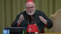 El Cardenal Reinhard Marx en el encuentro vaticano de protección de menores. Foto: Captura YouTube