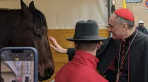 El Cardenal Mauro Gambetti bendice un caballo. Foto: Alan Koppschall / ACI Prensa