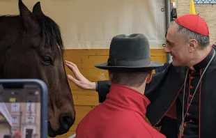 El Cardenal Mauro Gambetti bendice un caballo. Foto: Alan Koppschall / ACI Prensa 