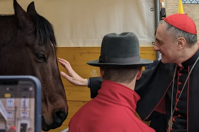 Bendicen animales en el Vaticano en la fiesta de San Antonio Abad