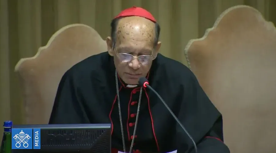El Cardenal Gracias durante su exposición. Foto: Captura de Youtube
