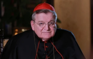 Cardenal Raymond Leo Burke. Cru00e9dito: Lucu00eda Ballester / ACI Prensa. 