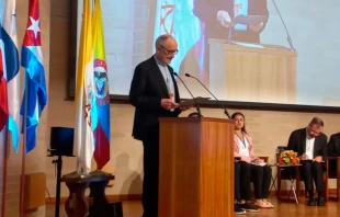 El Cardenal Michael Czerny durante el III Congreso Latinoamericano y Caribeu00f1o de Doctrina Social de la Iglesia. Cru00e9dito: CELAM 